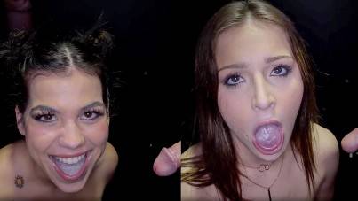 Swallow, Count And Repeat